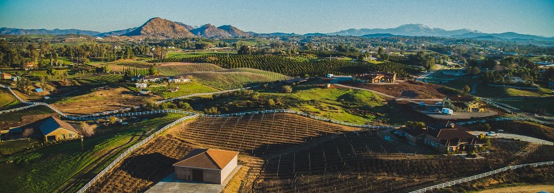 Temecula Wine Country