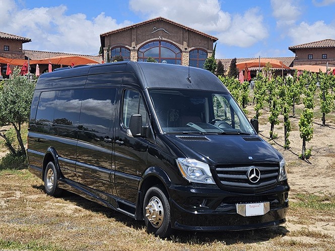 Temecula in Style