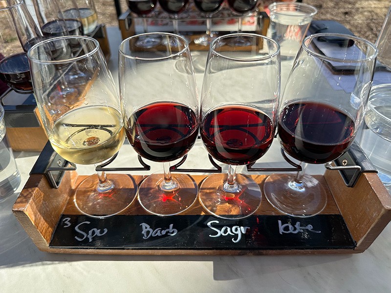 Taste Your Way Through Temecula